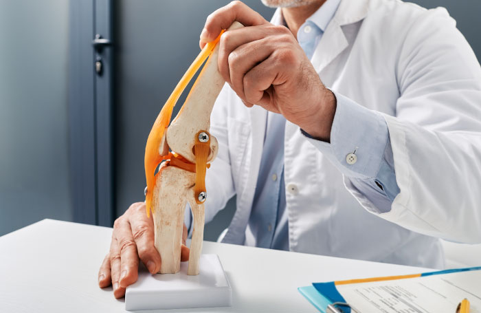 700x455_orthopedics_joint-model